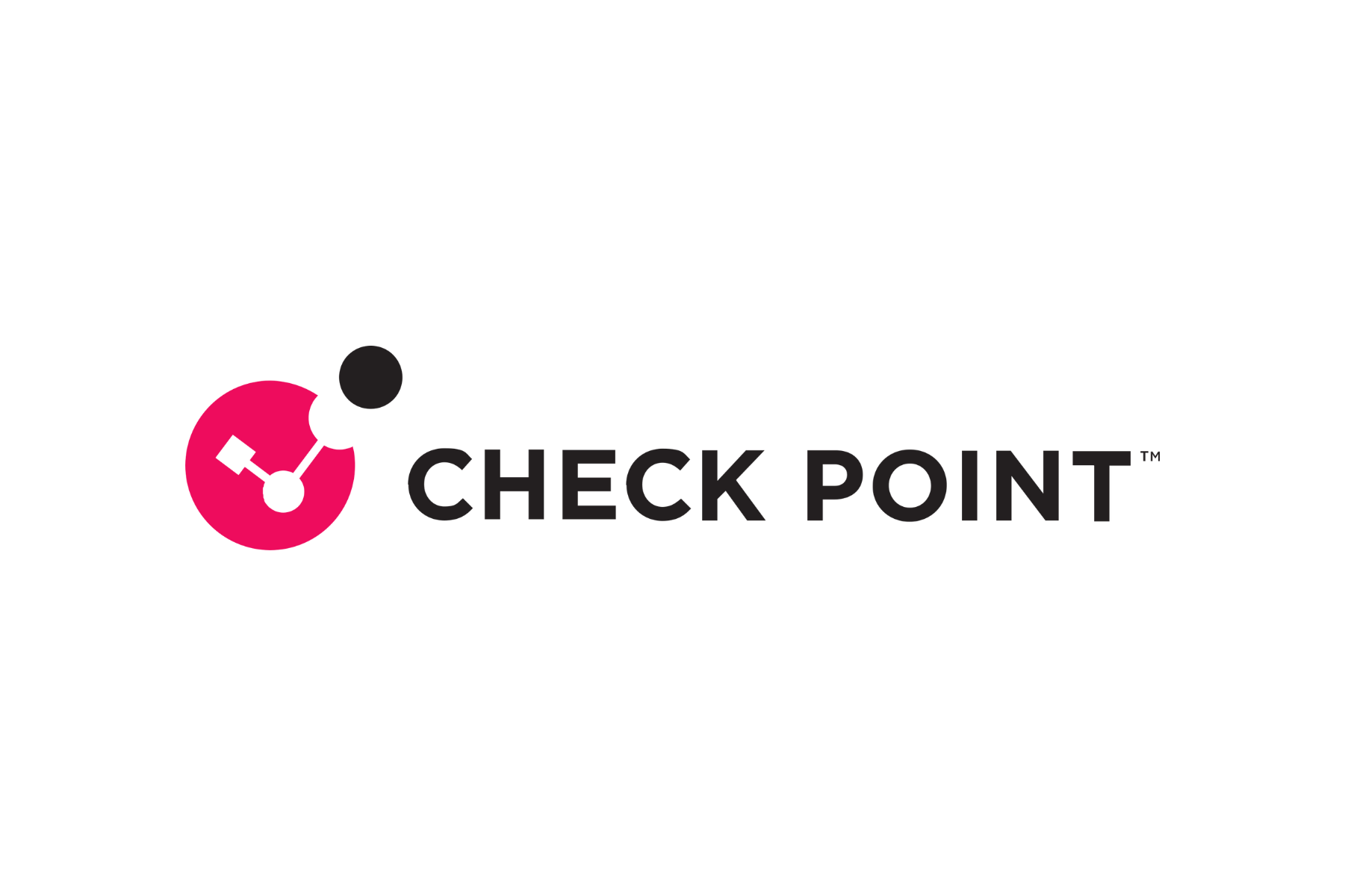 Check Point Logo