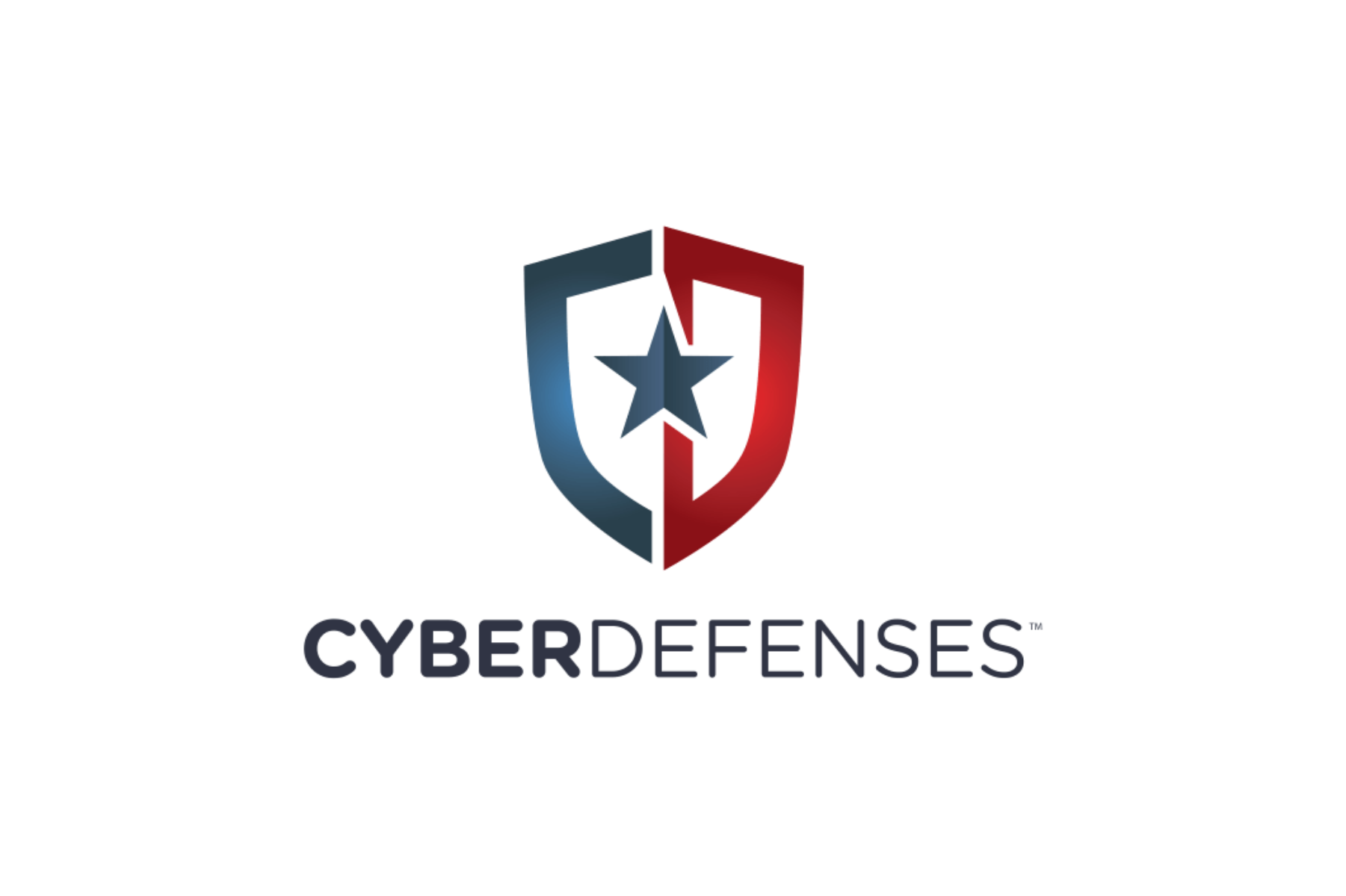 Cyberdefenses Logo (1)